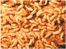 1683963272914472.jpg 7aec54e736d12f2e09c549694fc2d562843568f3.jpg