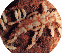 1683963334630612.gif cb8065380cd791230f28737dad345982b3b780eb.gif