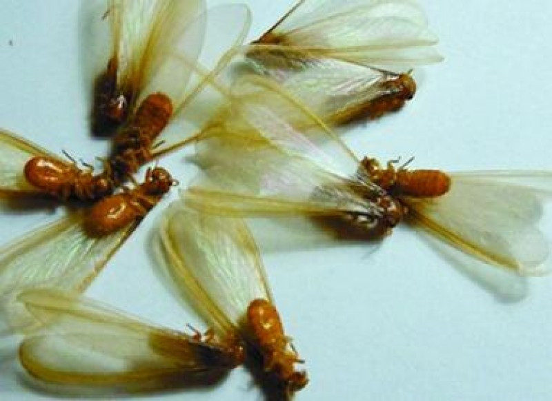 1684289480536928.jpeg 2514f1175f844c6a9736f4474a047382.jpeg