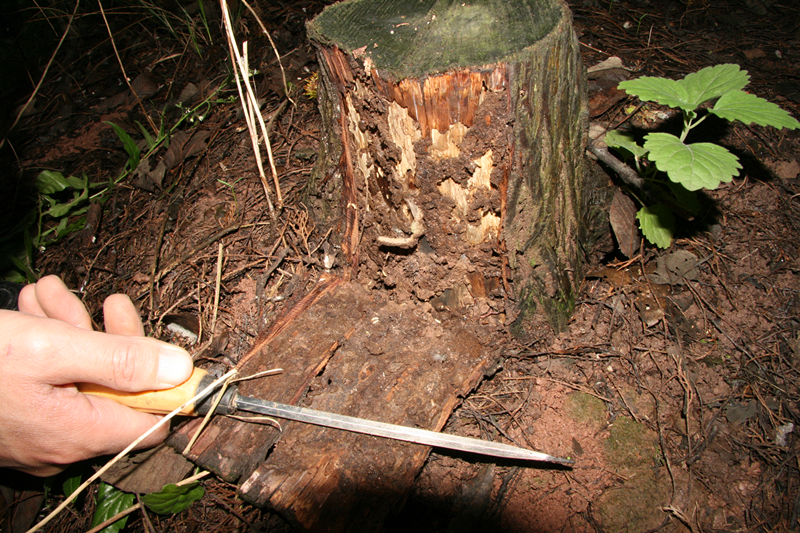 1684293691129091.png 2f3d21a6b320f938c7e090ba69bf2766_640_wx_fmt=png&wxfrom=5&wx_lazy=1&wx_co=1.png