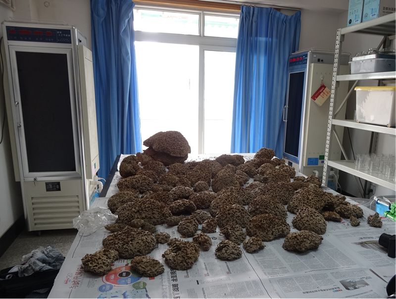 1684294106572663.jpg 9599a7410ac7b05c820f46d6bfae3bf3_640_wx_fmt=png&wxfrom=5&wx_lazy=1&wx_co=1.jpg